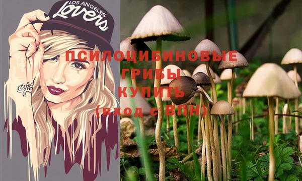 гашиш Арсеньев