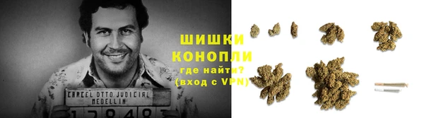 Альфа ПВП Аркадак