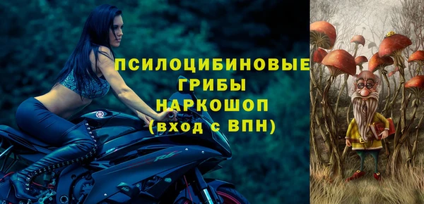 Альфа ПВП Аркадак