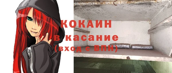 Альфа ПВП Аркадак