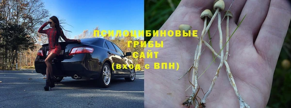 твердый Семёнов